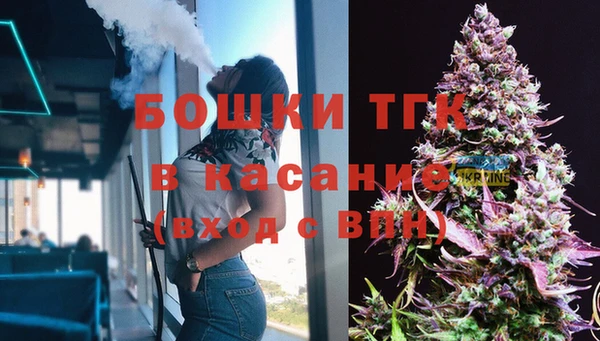 меф Арсеньев