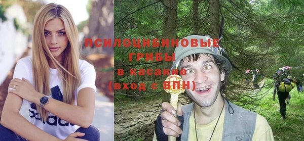 mix Новодвинск
