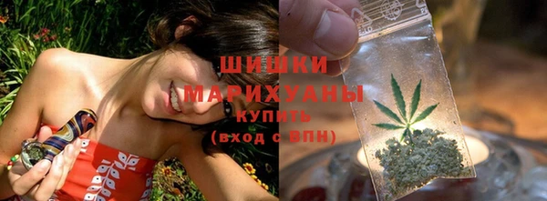 мдпв Новозыбков