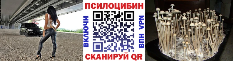 Псилоцибиновые грибы мухоморы  Пугачёв 